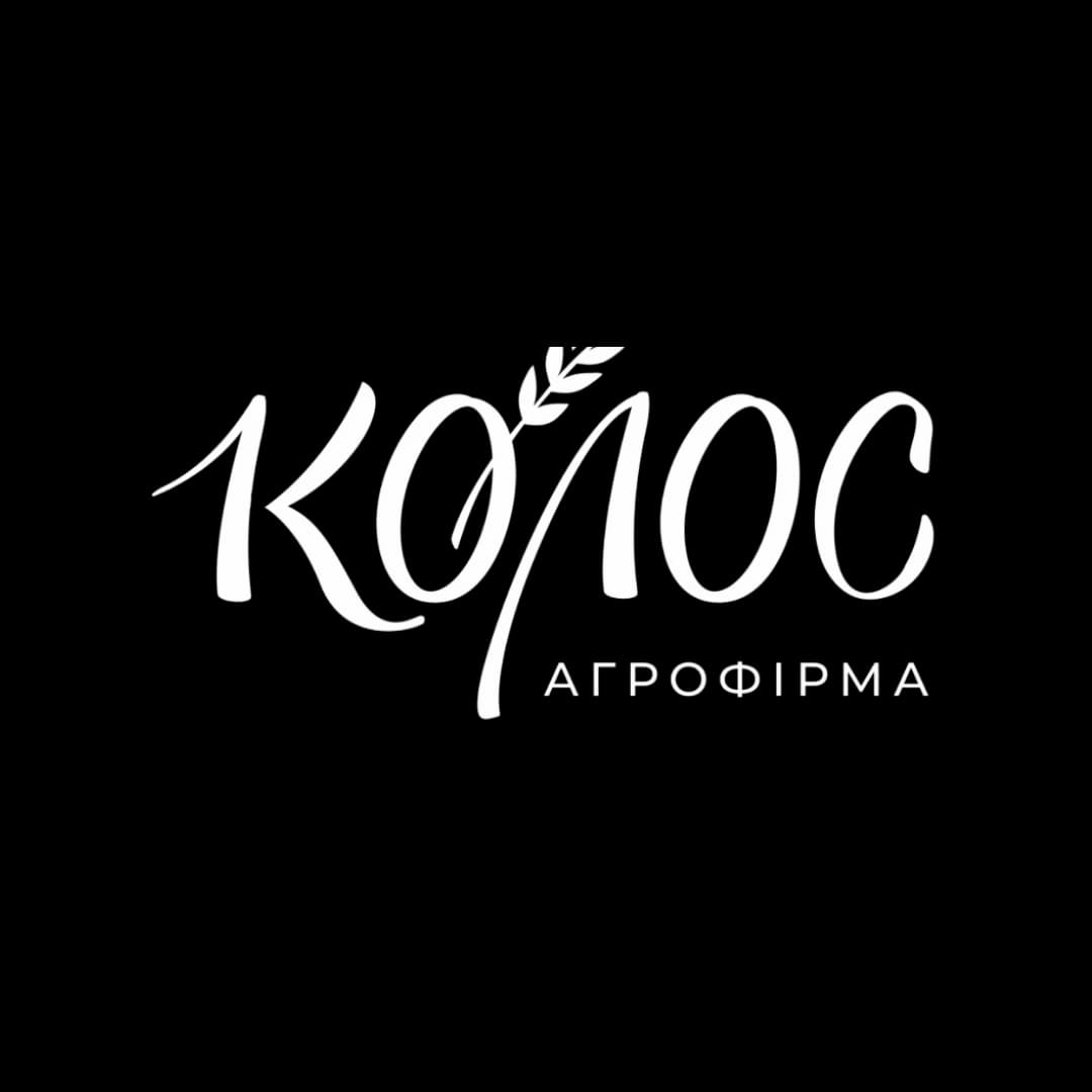 Partner logo 2